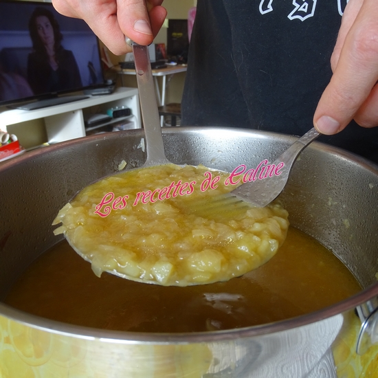 Soupe à l'oignon14