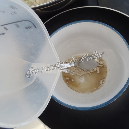 Escalopes de poulet nappées06