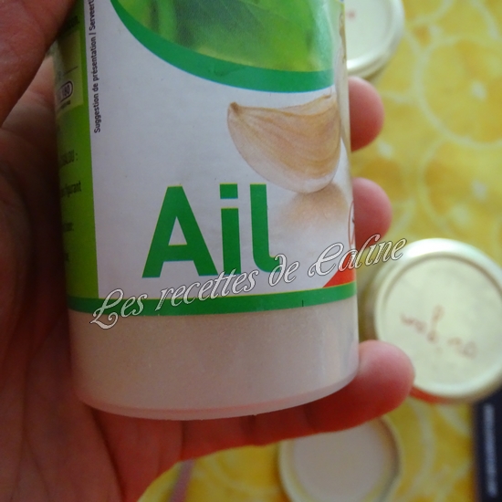 Poulet grillé avec sauce Chimichurri02