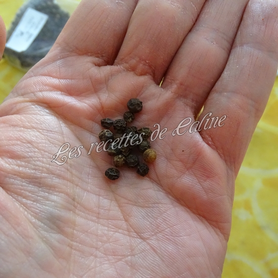 Poulet grillé avec sauce Chimichurri13