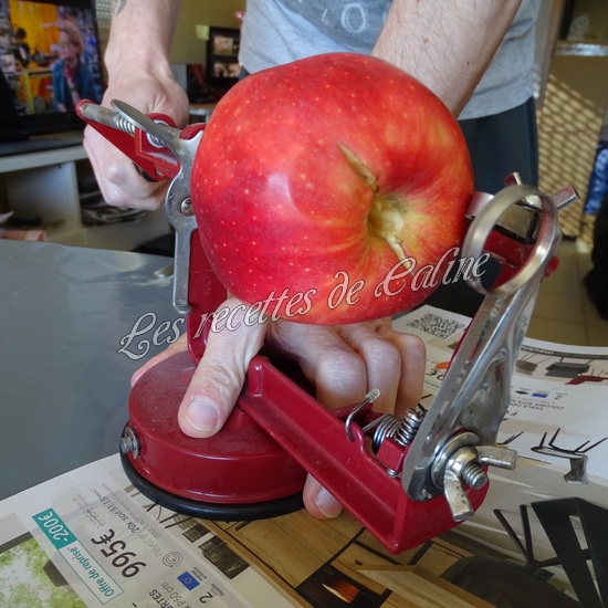 Wraps aux pommes, miel et camembert02