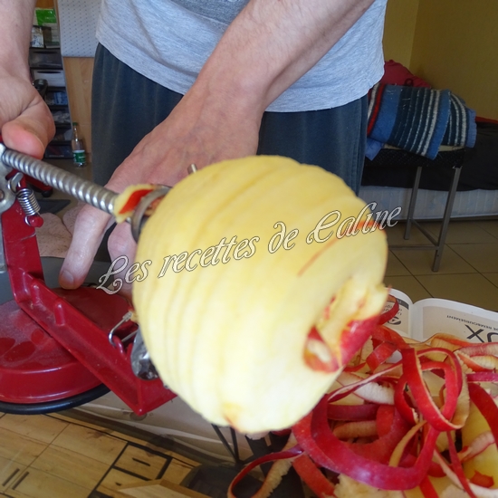 Wraps aux pommes, miel et camembert03