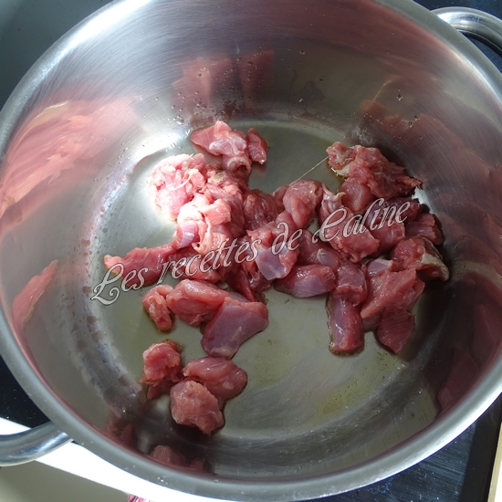 Cocotte de sauté de dinde au riz03