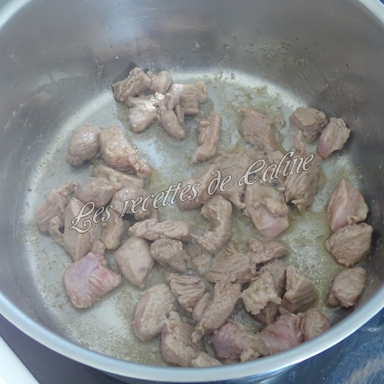 Cocotte de sauté de dinde au riz04