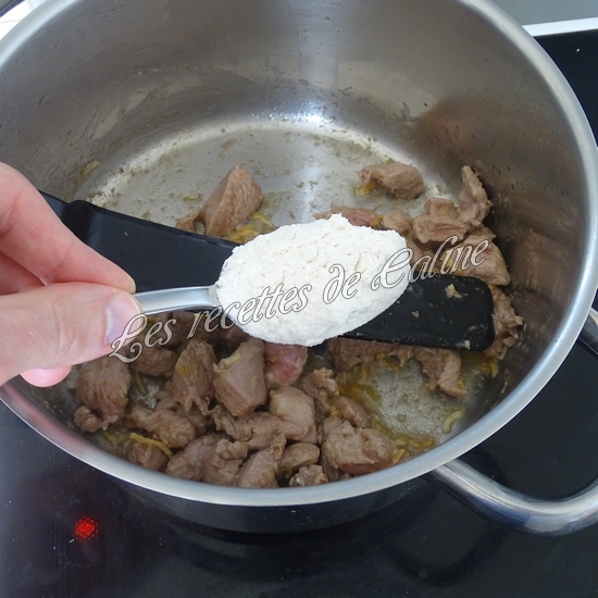 Cocotte de sauté de dinde au riz08