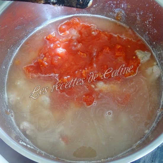 Cocotte de sauté de dinde au riz15