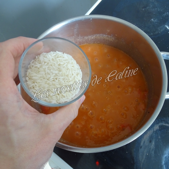 Cocotte de sauté de dinde au riz21