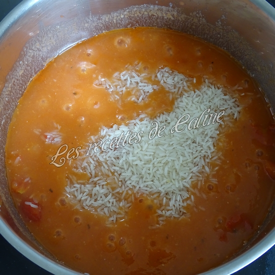 Cocotte de sauté de dinde au riz22