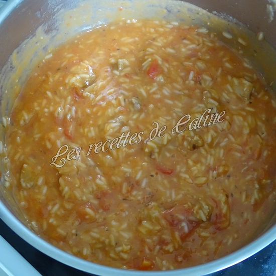 Cocotte de sauté de dinde au riz23