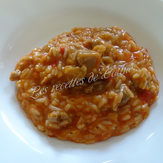 Cocotte de sauté de dinde au riz25