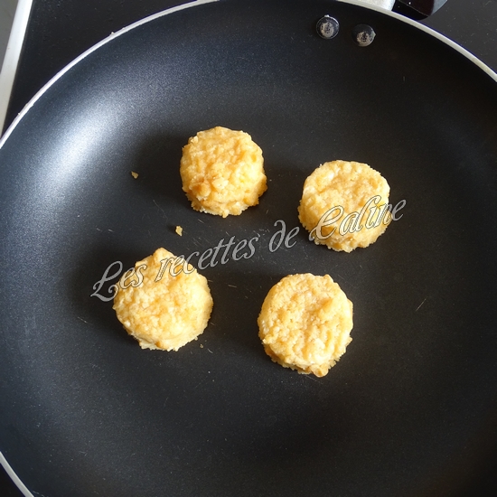 Mc wrap au chèvre02