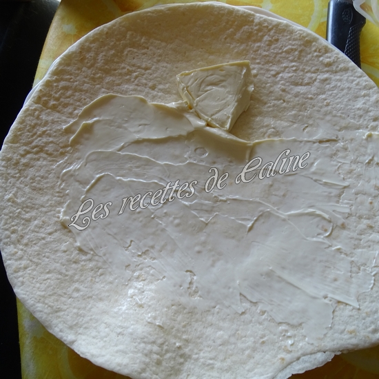 Mc wrap au chèvre04