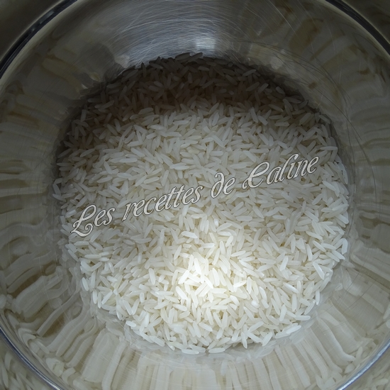 Poêlée de riz sauté au boeuf09