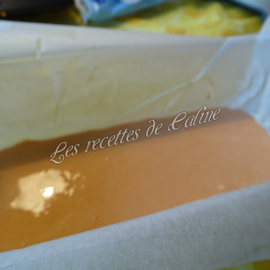 Terrine de surimi à la tomate13