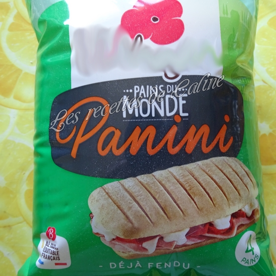 Panini au poulet et fromages05