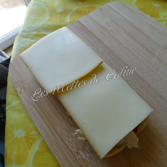 Panini au poulet et fromages15
