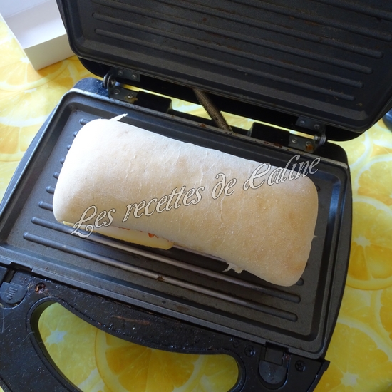 Panini au poulet et fromages19