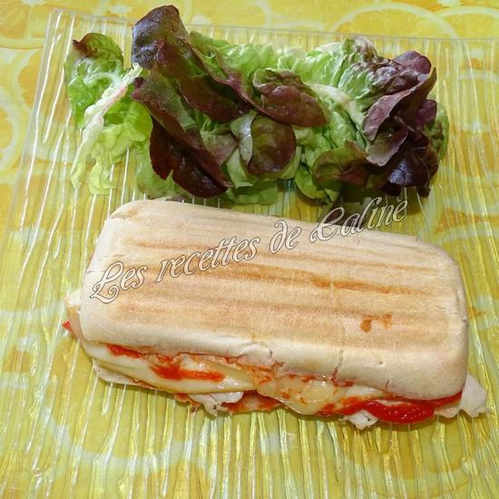 Panini au poulet et fromages20