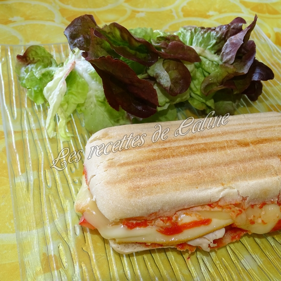 Panini au poulet et fromages22