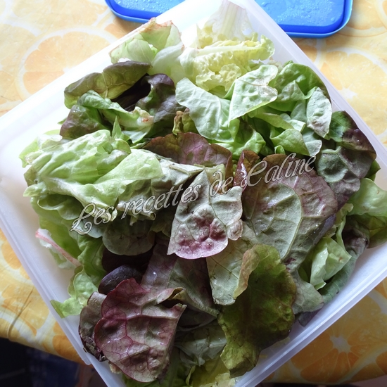 Bagel à la pomme et salami05