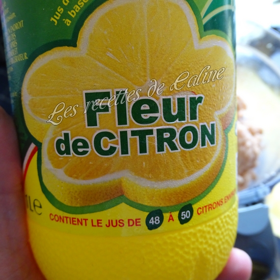 Boulettes de poulet10