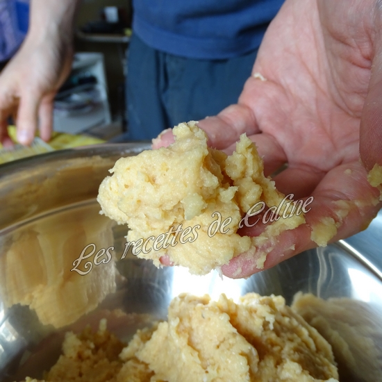 Boulettes de poulet13