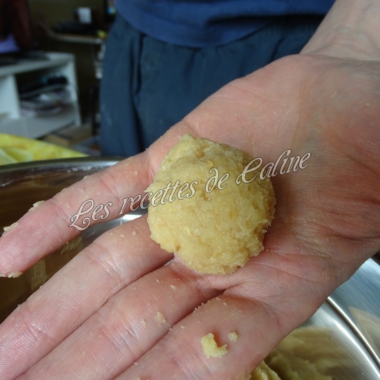Boulettes de poulet14