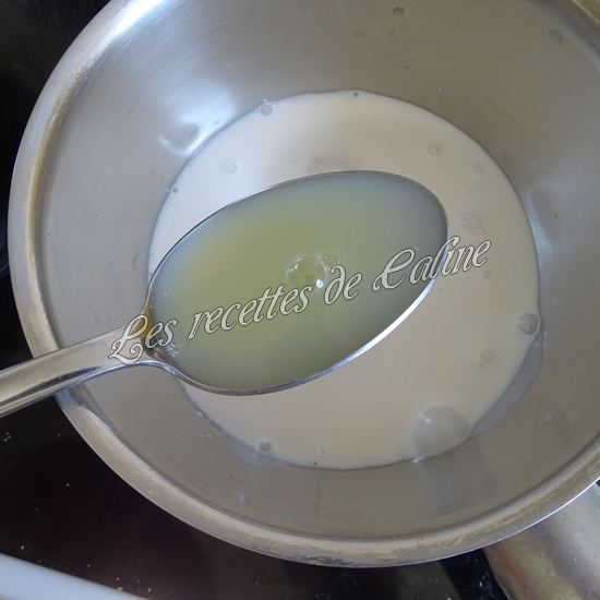 Poisson blanc au lait de coco03