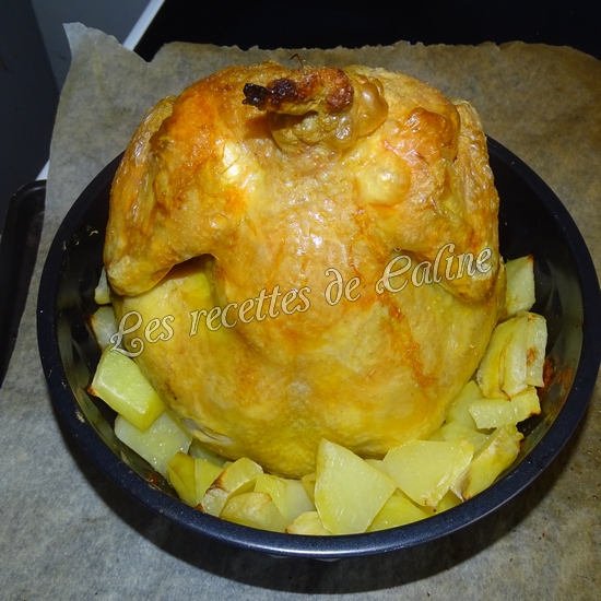 poulet a la verticale53