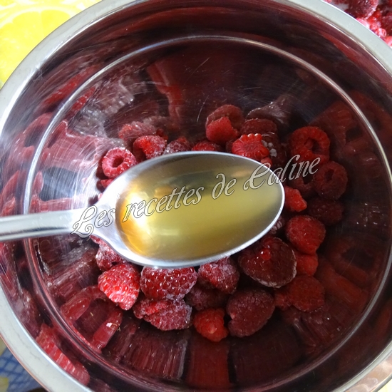 Salade melon, framboises et magret de canard03