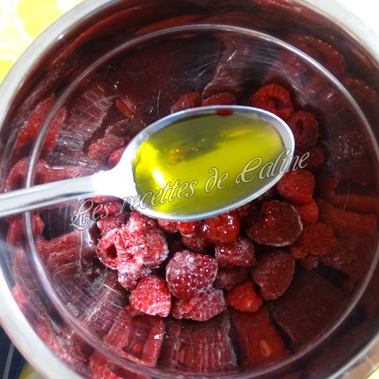 Salade melon, framboises et magret de canard05