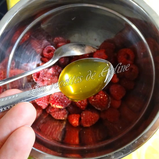 Salade melon, framboises et magret de canard07