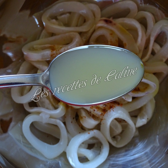 Brochettes de calamars grillés au citron09