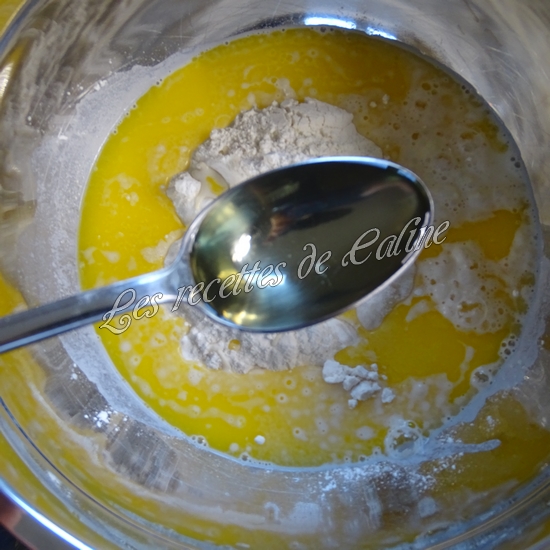 Cheese naan au fromage à tartiner et son curry de poulet13