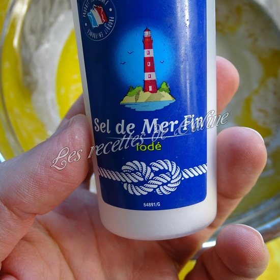 Cheese naan au fromage à tartiner et son curry de poulet15