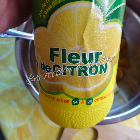 Cheese naan au fromage à tartiner et son curry de poulet30