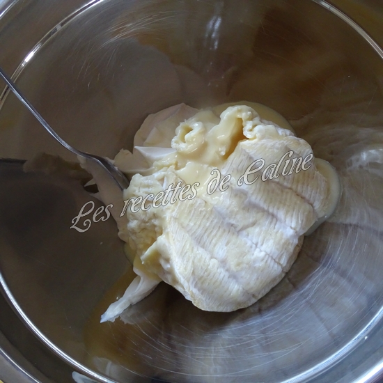 Flammekueche au camembert04