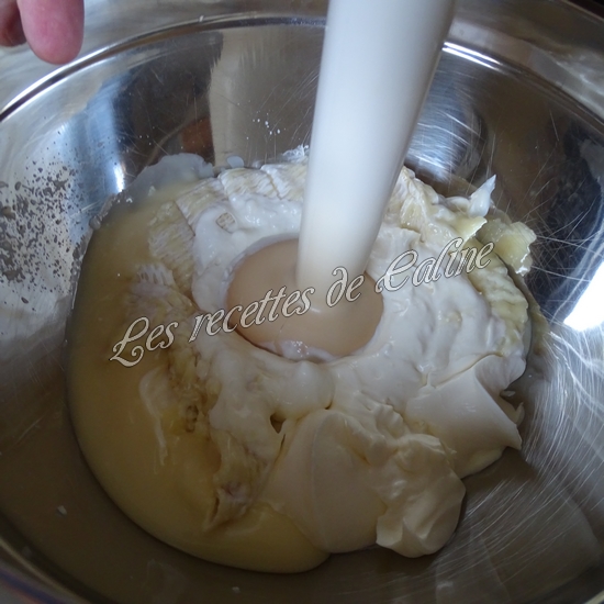 Flammekueche au camembert05