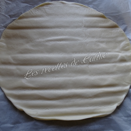 Flammekueche au camembert12