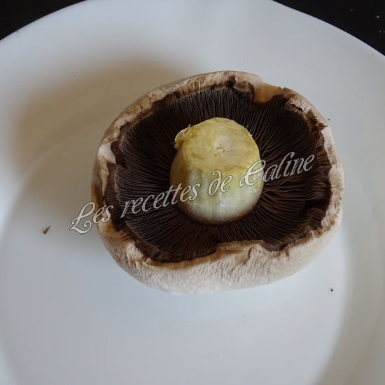 Petit pain pizza au poulet, champignons et boursin03