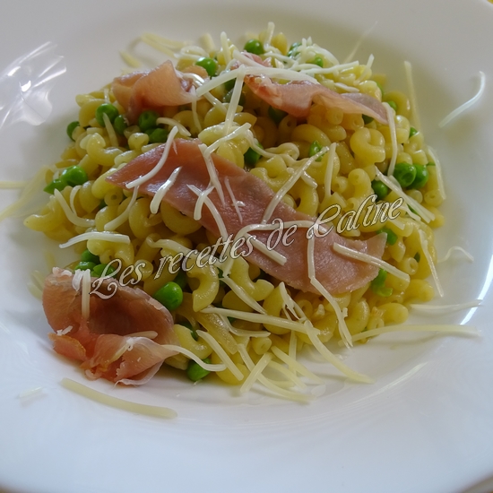 Risotto de coquillettes petits pois17