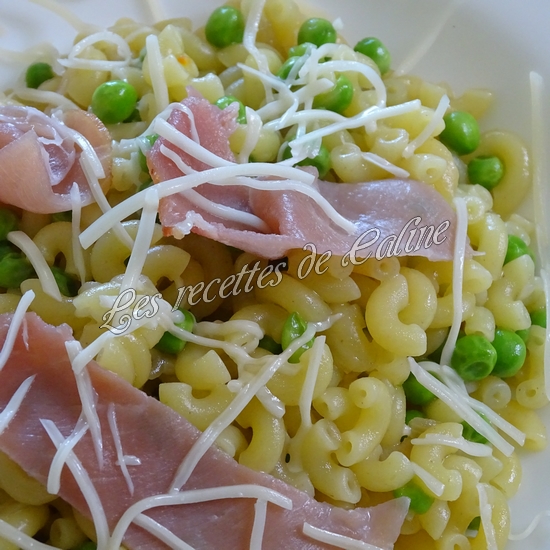 Risotto de coquillettes petits pois19