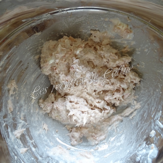 Tartines fromage, thon et radis04