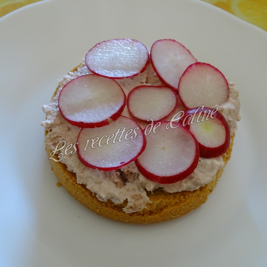 Tartines fromage, thon et radis09