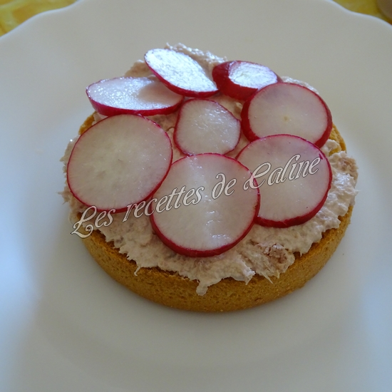 Tartines fromage, thon et radis10