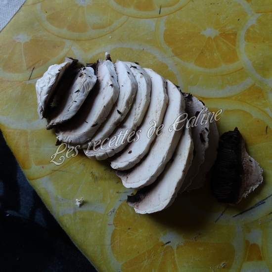 Feuilletés de quenelles à la volaille07