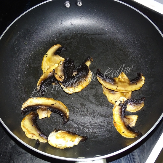 Feuilletés de quenelles à la volaille10