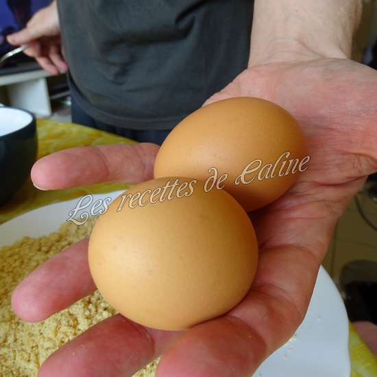 Pilon de poulet pané farcie à la pomme de terre et fromage34