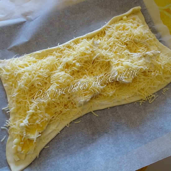 Pizza au camembert et miel13