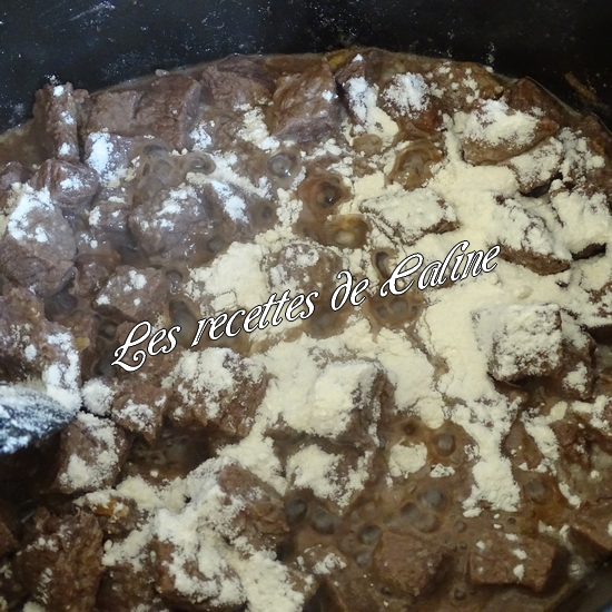 Ragoût de boeuf et purée au parmesan10